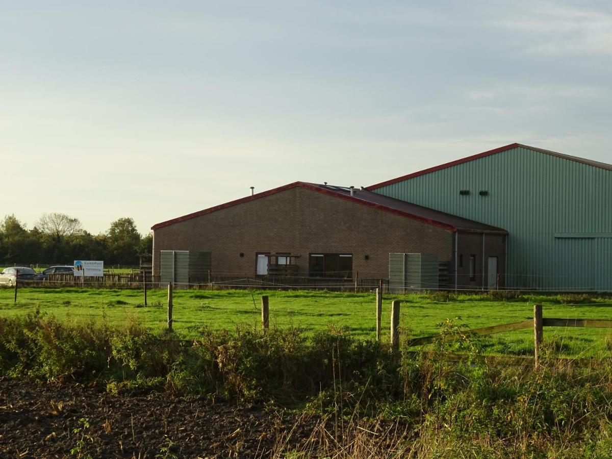 Kustverhuur, Oude Manege Nieuwvliet, Nieuwvliet 3 - 9 Kültér fotó